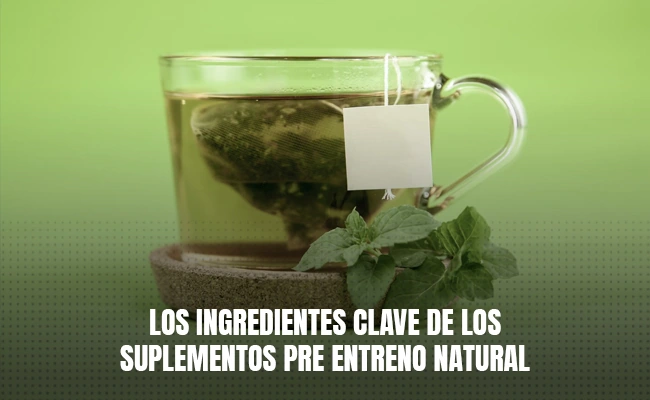 Los ingredientes clave de los suplementos pre entreno natural